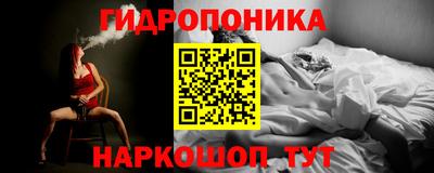 мдпв Партизанск